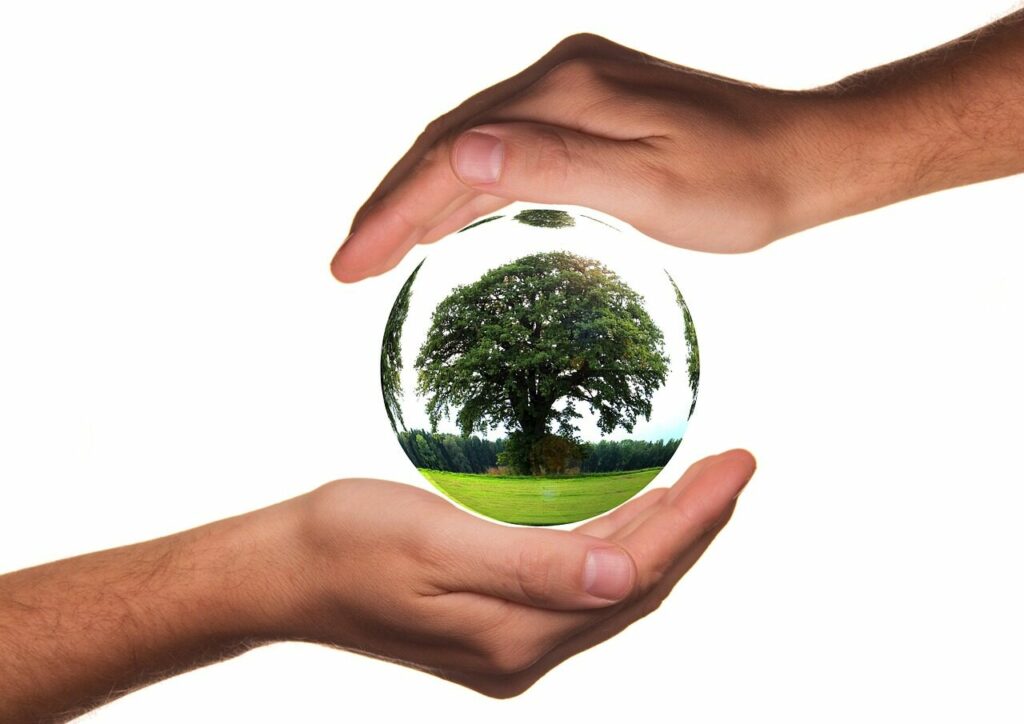 to protect, hands, ecology, protection, tree, life, nature, responsibility, globe, earth, world, globalization, planet, global, environment, conservation, eco, fragile, sensitive